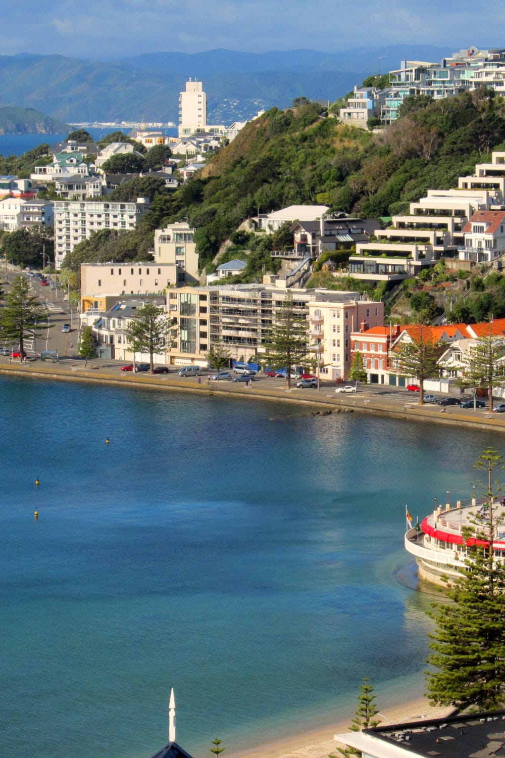 A man and a woman stand together on a street corner staring at a paper